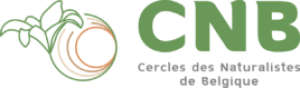 croppedlogocnb24.png