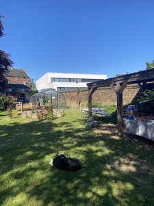 IMG_7989.jpeg