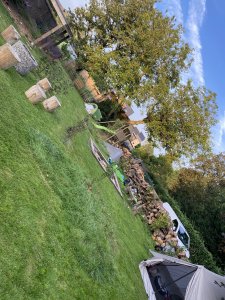 IMG_6103.jpeg
