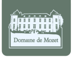 logo.png