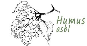 humus.jpg