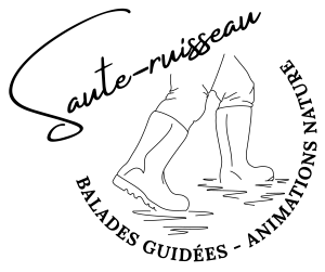SauteRuisseauLogoNoir.png